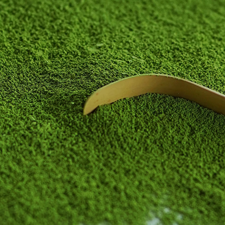 Uji Matcha for Latte