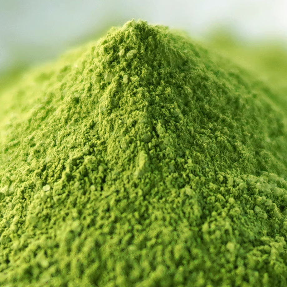 Matcha Latte Can (Unsweetened)
